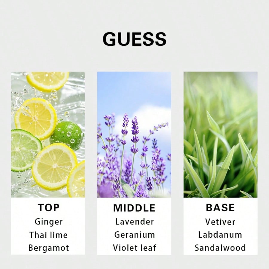 Guess Forever น้ำหอมสำหรับผู้ช - Perfume Fragrance Free บทวิจารณ์และราคา