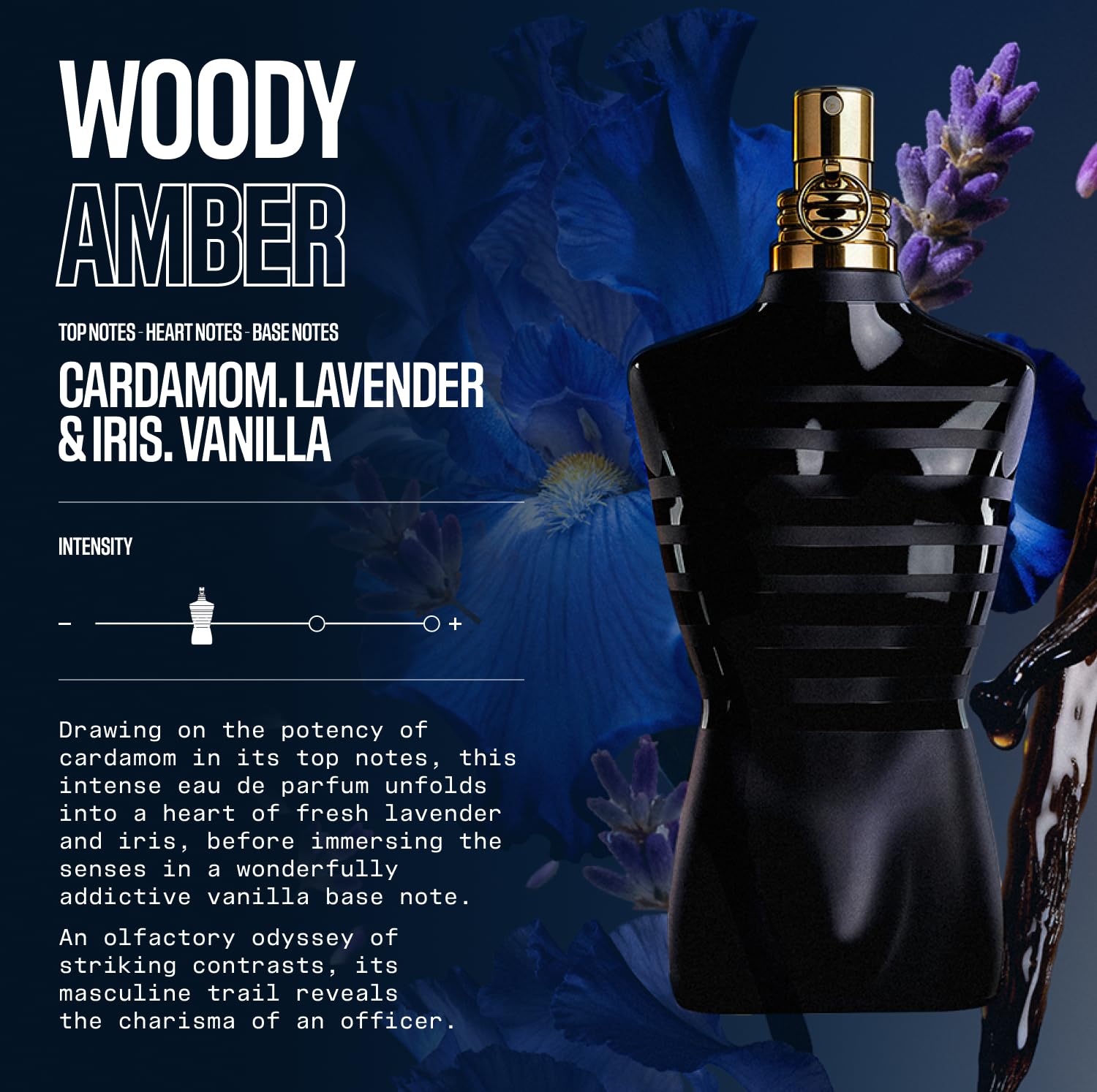 Jean Paul Gaultier Le Male Le  - Perfume Fragrance Jean Paul Gaultier Le Male บทวิจารณ์และราคา