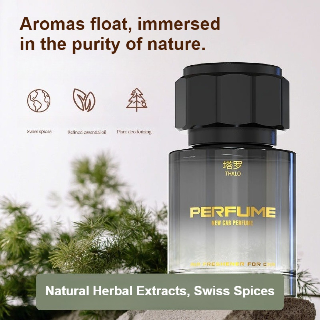 น้ำหอมผู้ชาย: กลิ่นหอมสดชื่น ต - Perfume Fragrance Free บทวิจารณ์และราคา